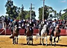 Serpa Festival - 31/3/018